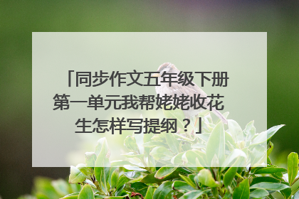 同步作文五年级下册第一单元我帮姥姥收花生怎样写提纲？