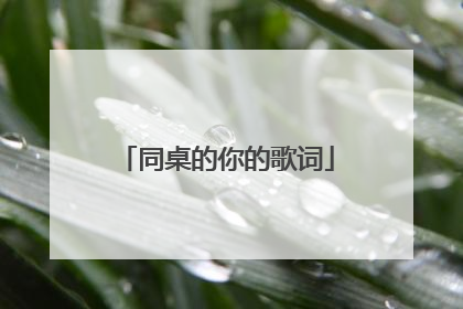 同桌的你的歌词