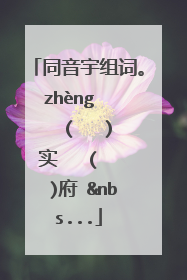 同音宇组词。zhèng ( )实 ( )府 &nbs...