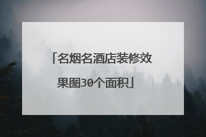 名烟名酒店装修效果图30个面积