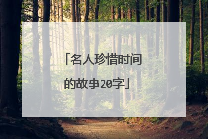 名人珍惜时间的故事20字