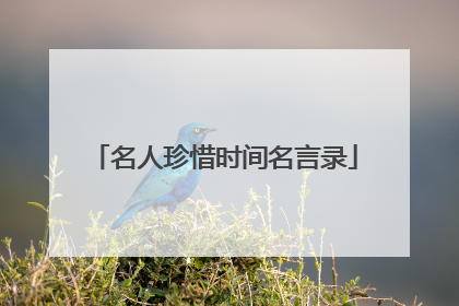 名人珍惜时间名言录