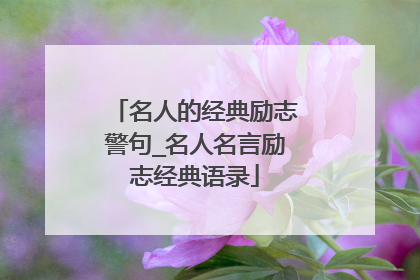 名人的经典励志警句_名人名言励志经典语录