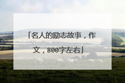 名人的励志故事,作文,800字左右