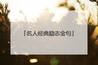 名人经典励志金句