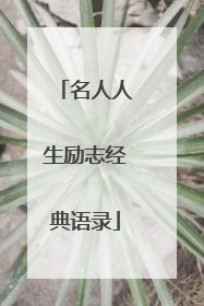 名人人生励志经典语录