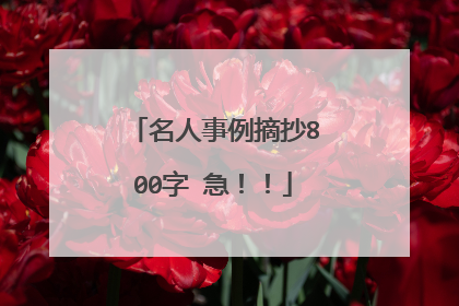 名人事例摘抄800字 急!!