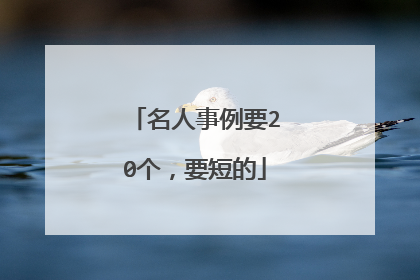 名人事例要20个，要短的