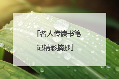 名人传读书笔记精彩摘抄