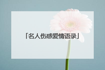 名人伤感爱情语录