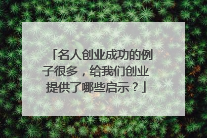 名人创业成功的例子很多,给我们创业提供了哪些启示?