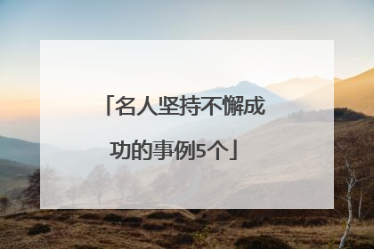 名人坚持不懈成功的事例5个