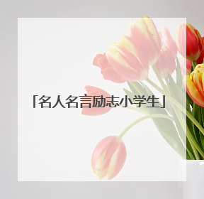 名人名言励志小学生