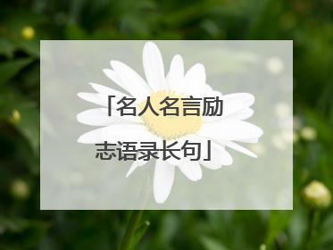 名人名言励志语录长句