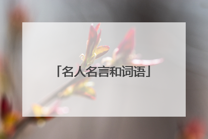 名人名言和词语
