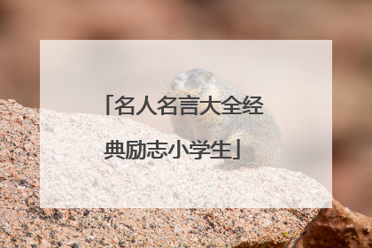 名人名言大全经典励志小学生