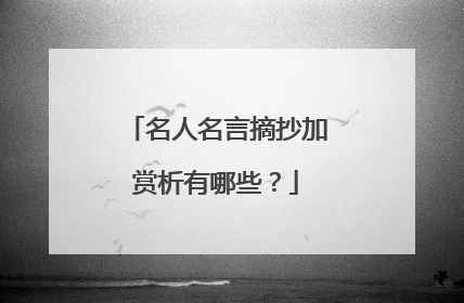 名人名言摘抄加赏析有哪些?