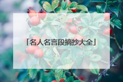名人名言段摘抄大全