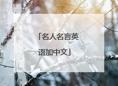 名人名言英语加中文