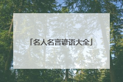 名人名言谚语大全