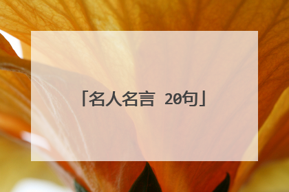 名人名言 20句