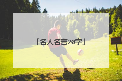 名人名言20字