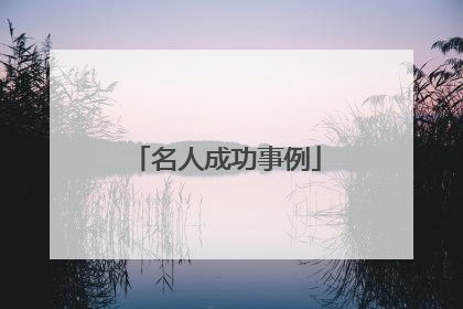 名人成功事例