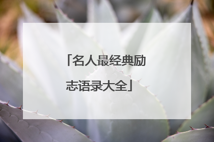 名人最经典励志语录大全