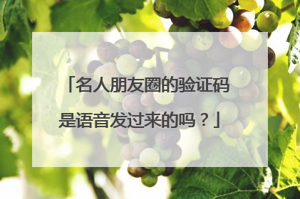 名人朋友圈的验证码是语音发过来的吗?
