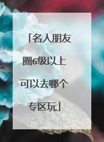 名人朋友圈6级以上可以去哪个专区玩