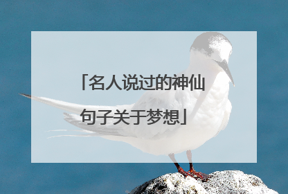 名人说过的神仙句子关于梦想