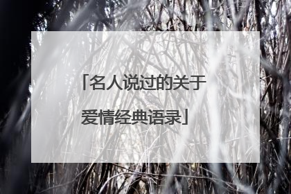 名人说过的关于爱情经典语录