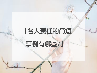 名人责任的简短事例有哪些?