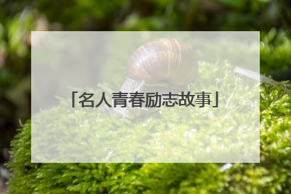 名人青春励志故事