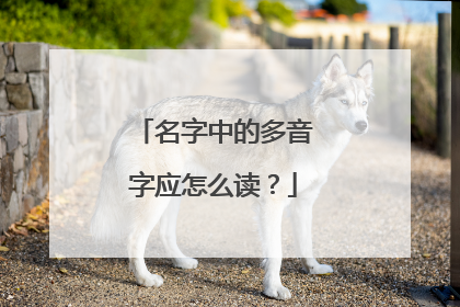 名字中的多音字应怎么读?