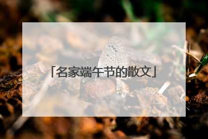 名家端午节的散文