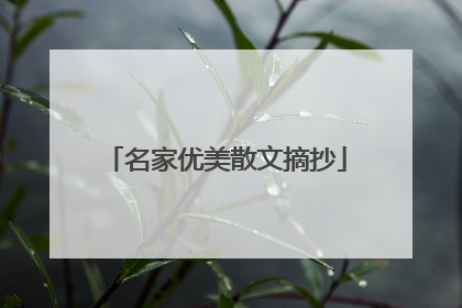 名家优美散文摘抄
