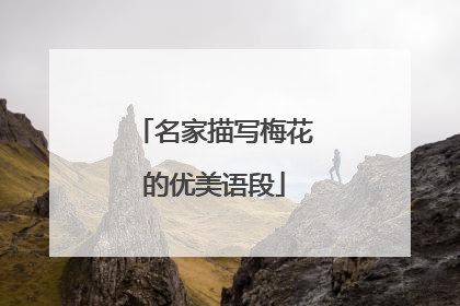 名家描写梅花的优美语段
