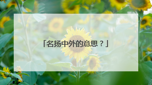 名扬中外的意思？