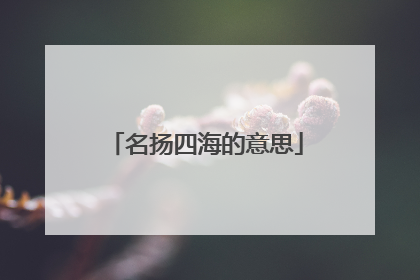 名扬四海的意思