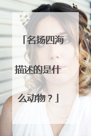 名扬四海描述的是什么动物？