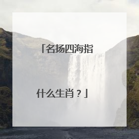 名扬四海指什么生肖？