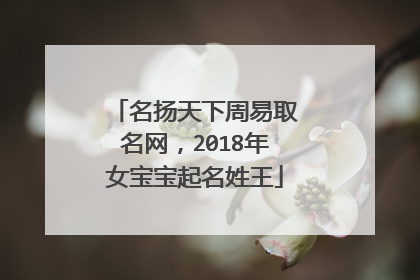 名扬天下周易取名网,2018年女宝宝起名姓王