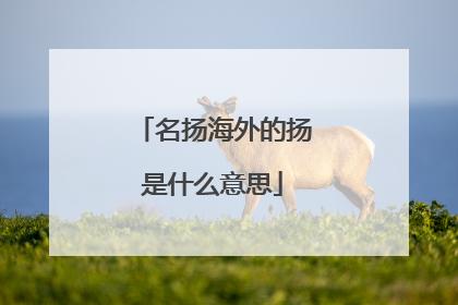 名扬海外的扬是什么意思