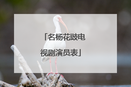 名杨花豉电视剧演员表