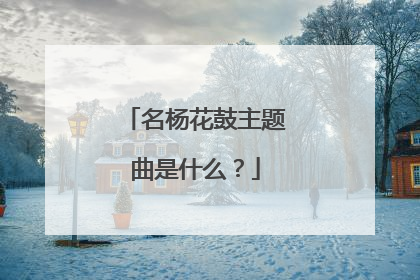 名杨花鼓主题曲是什么?