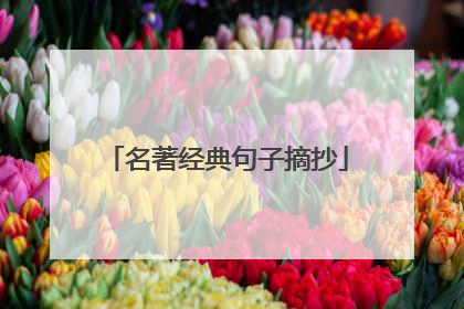 名著经典句子摘抄