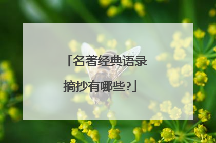 名著经典语录摘抄有哪些?