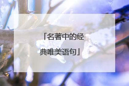 名著中的经典唯美语句