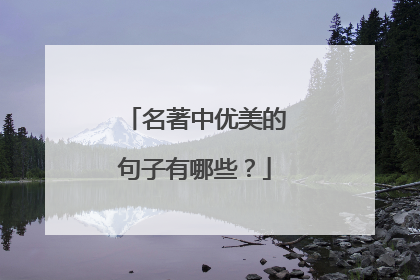 名著中优美的句子有哪些？